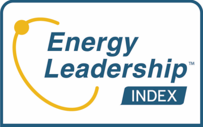Energy-Leadership-index-Assessment